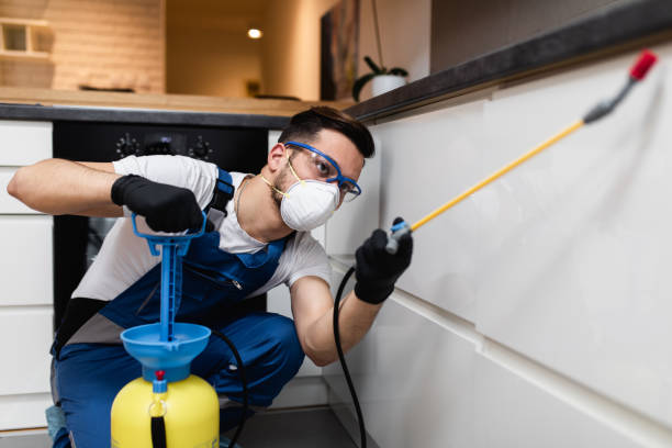 Best Cockroach Control Services  in Doylestown, OH