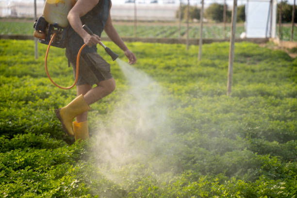 Best Wasp Removal Services  in Doylestown, OH
